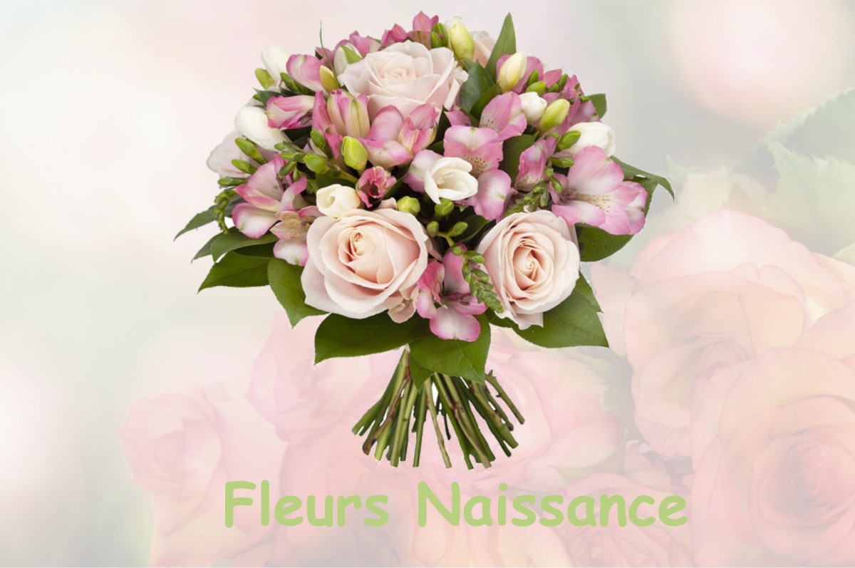 fleurs naissance NARROSSE